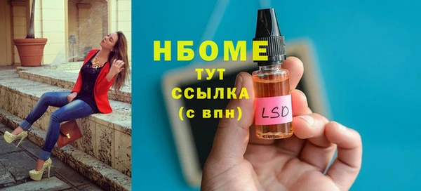 стаф Гусев