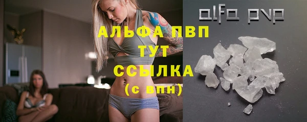 стаф Гусев
