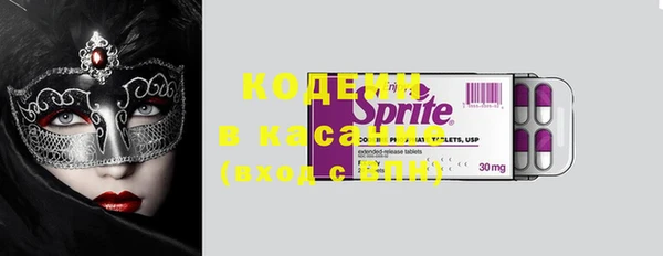 стаф Гусев
