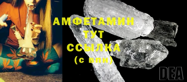 стаф Гусев