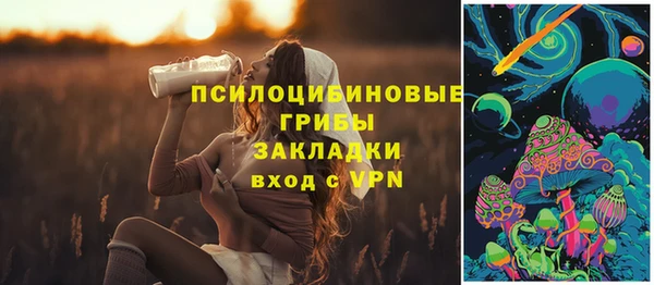 стаф Гусев