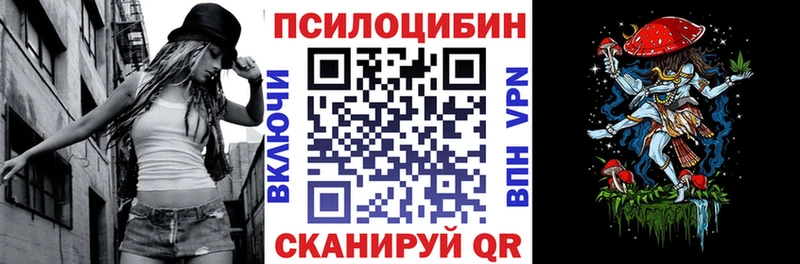 где найти   Купино  Псилоцибиновые грибы Psilocybe 